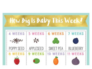 Από σποράκι σε κολοκύθα: Παρακολουθήστε το μέγεθος του μωρού σας ανά εβδομάδα κύησης! 