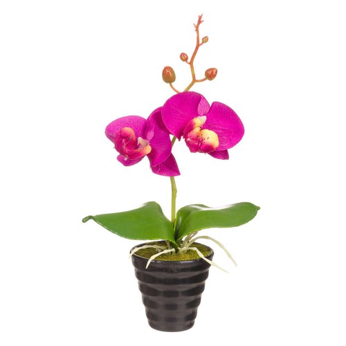 Lule Dekoruese Orkide Lejla Në Vazo Plastike 25 Cm