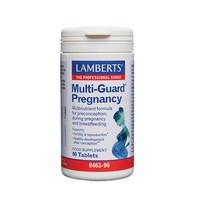 Lamberts Multi-Guard Pregnancy 90 Ταμπλέτες.