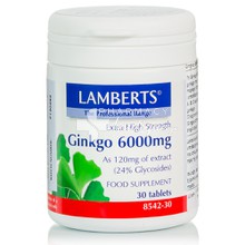 Lamberts Ginkgo Biloba Extract 6000mg - Μνήμη, 30tabs  (8542-30)