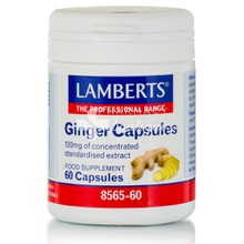 Lamberts Ginger 120mg -  Πέψη, 60caps (8565-60)