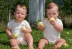 Twins nutrition eating food