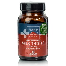Terranova Milk Thistle - Γαϊδουράγκαθο, 50 caps