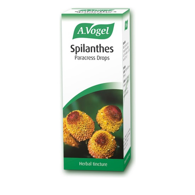 A.VOGEL Spilanthes Drops Fresh Spilanthes Tincture (antifungal) With antifungal Action 50ml