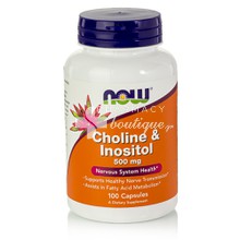 Now Choline & Inositol 500mg - Νευρικό Σύστημα, 100 caps