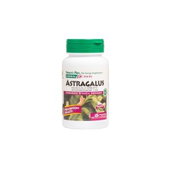 Natures Plus Astragalus 450mg Dietary Supplement For Strengthening The Immune System 60 Capsules