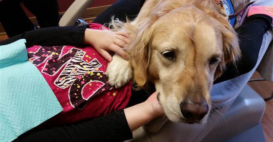 'Ενας σκύλος κάνει την επίσκεψη στον οδοντίατρο διασκέδαση