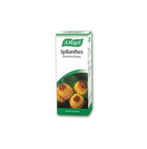 Spilanthes Οler - Fungal Skin  Nail Infections 50m
