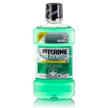 Listerine Teeth & Gum Defence (Fresh Mint) - Tερηδόνα, 250ml