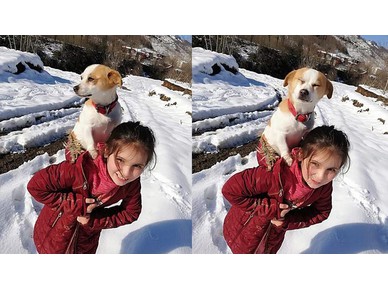 Κορίτσι 8 χρονών κουβάλησε 2,5 χιλιόμετρα στο χιόνι τον άρρωστο σκύλο της 