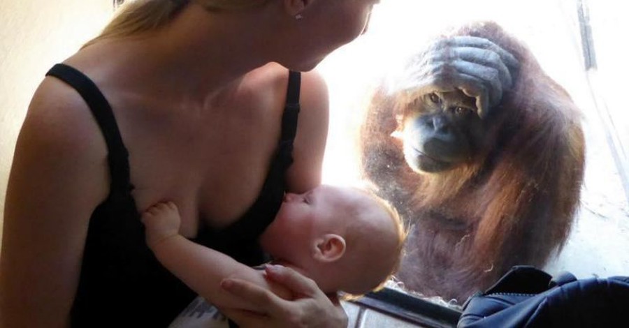 Experiența inedită a unei mame la grădina zoologică 