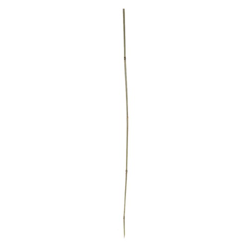 Shkop bamboo 120cm