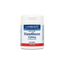 Lamberts Hawthorn 2500mg Βότανο Με Καρδιοτονωτικές Ιδιότητες 60 ταμπλέτες