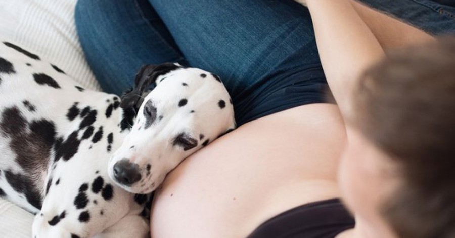 19 кучета, които нямат търпение бебето да се роди