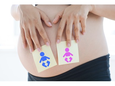A patra lună de sarcină: Determinarea sexului 