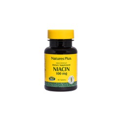 Natures Plus Niacin Νicotinic Acid-B3 100mg Συμπλήρωμα Διατροφής Για Μείωση Της Χοληστερίνης 90 ταμπλέτες