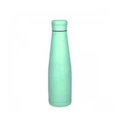 Well Stainless Steel Bottle Pastel Mint Ice - Ανοξ