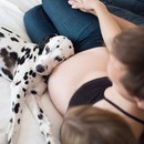19 кучета, които нямат търпение бебето да се роди
