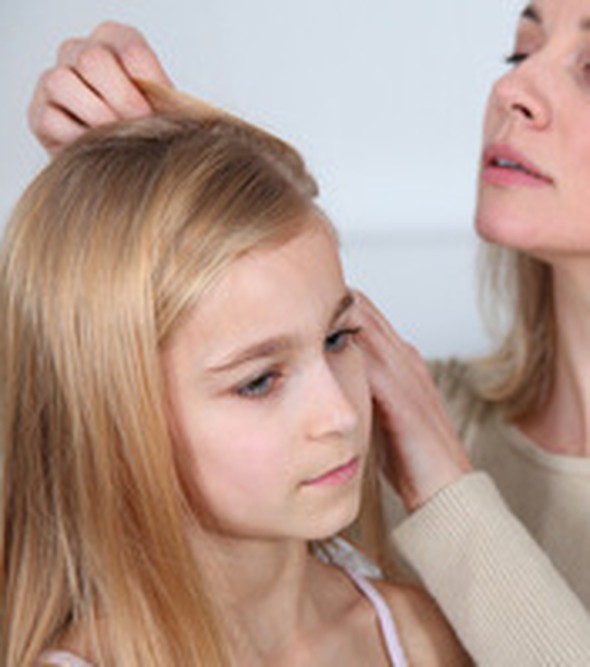 Preventive measures to avoid lice