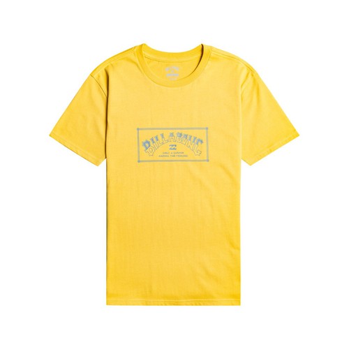 Billabong Boy T-Shirts Arch Ss (EBBZT00100-YHL0)