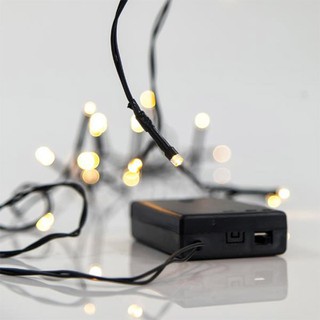 Xmas Led String Lights With Battery 20 Warm White 