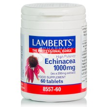 Lamberts ECHINACEA 1000mg - Ανοσοποιητικό, 60 tabs (8557-60)