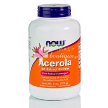 Now Acerola Extract Powder - Ανοσοποιητικό, 170gr