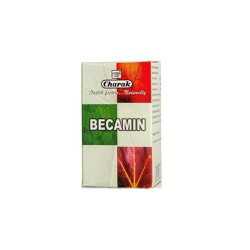 Charak Becamin Nutritional Supplement To Combat Stress 100 tablets