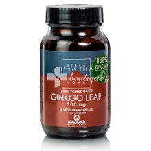 Terranova Ginkgo Leaf 500mg - Μνήμη, 50caps
