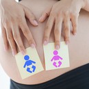 A patra lună de sarcină: Determinarea sexului 