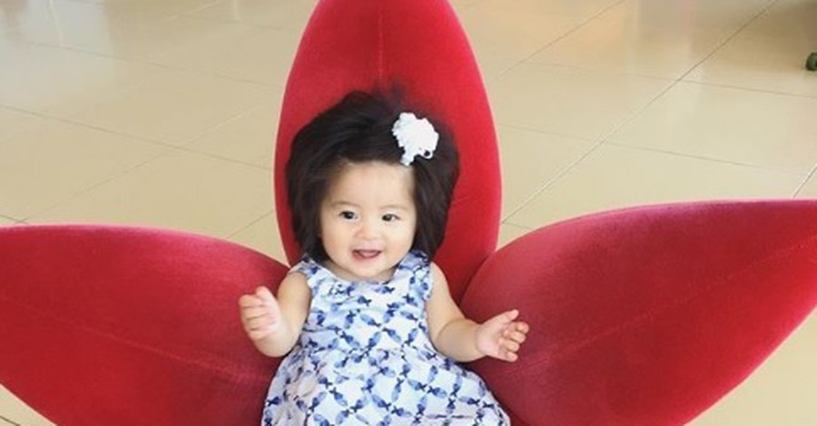 Запознайте се със 7-месечната Чанко - малката японка с изумителна грива!