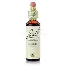 Bach Remedies BEECH (3) - Ανθοΐαμα Οξιάς, 20ml