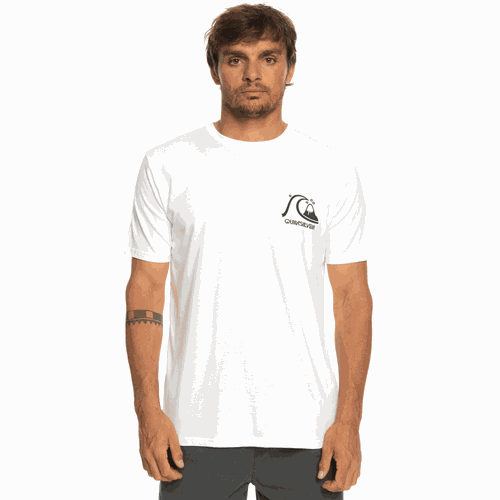 Quiksilver Men T-Shirts The Original Ss Tee (EQYZT