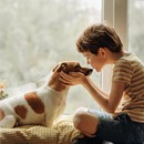 Τι πρέπει να προσέχουμε στην επαφή των παιδιών με τα σκυλιά; 