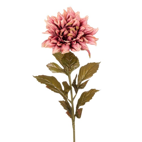 Ukrasni Cvijet Dalija Pink