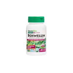 Natures Plus Boswellin 300mg Retin Supplement With Anti-Inflammatory Properties 60 Capsules