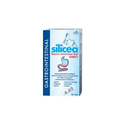 Hubner Silicea Gastro-Intestinal Gel Direct Πόσιμη Γέλη Ορυκτού Πυριτίου Για Γαστρεντερικές Παθήσεις 6 Φακελάκια x15ml