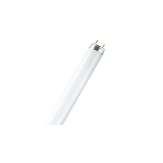 Fluorescent Lamp T8 L 30W/830 3000K 2400lm 4050300