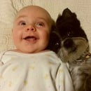 Любовта между бебетата и животните