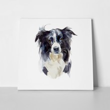 Border collie portrait dog watercolor 607127681 a