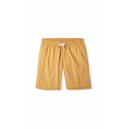 VERT 14" SHORTS Μαγιώ Εισ.