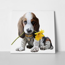 Sunny flower beagle dog 531258973 a