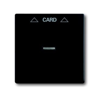 Plate Keycard Switch Black 1792-885 73786