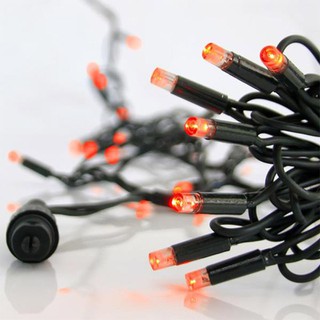 Christmas Lights String LED 100 with Green Cable I