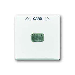 Basic55 Plate Keycard Switch White 1792-94 44463