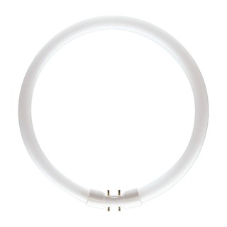 Circular Fluorescent Lamp TL5 60W/840 4000K 5000lm