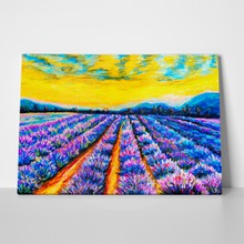 Pastel lavender field 322360160 a
