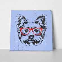 Yorkshire terrier glasses portrait 519431794 a