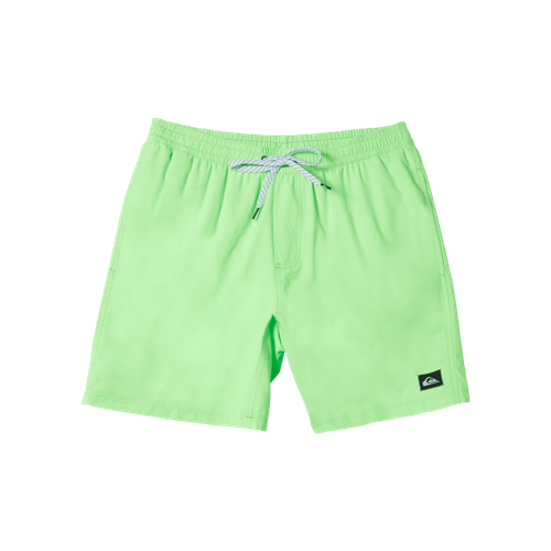 Quiksilver Mens Swimwear Everyday Solid Volley 15
