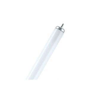 Fluorescent Lamp L20W/640 4100K 1000lm Osram 25-02
